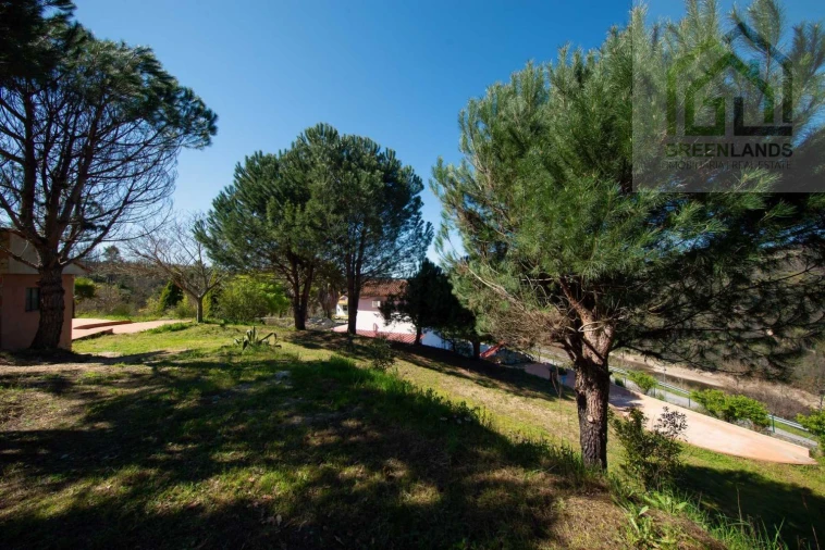 Quinta T2 para Venda em Povoa de Midões Foto 15