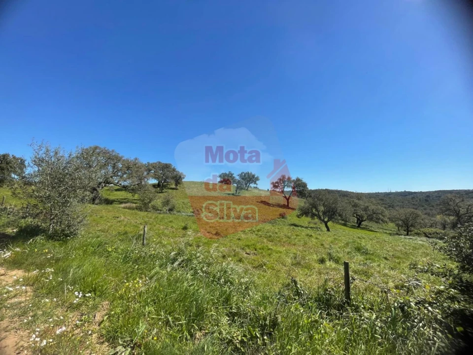 Terreno para Venda em São Francisco da Serra Foto 10