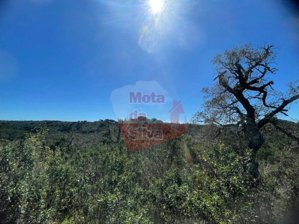 Terreno para Venda em São Francisco da Serra Foto 18