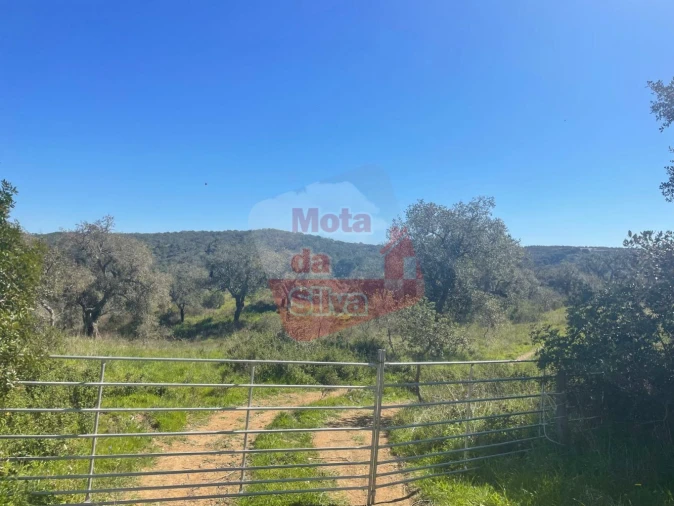 Terreno para Venda em São Francisco da Serra Foto 11