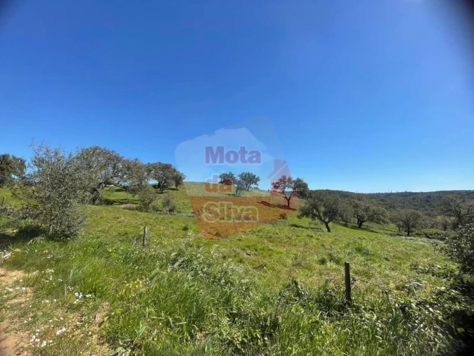 Terreno para Venda em São Francisco da Serra Foto 10