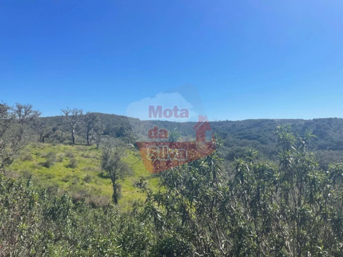 Terreno para Venda em São Francisco da Serra Foto 13