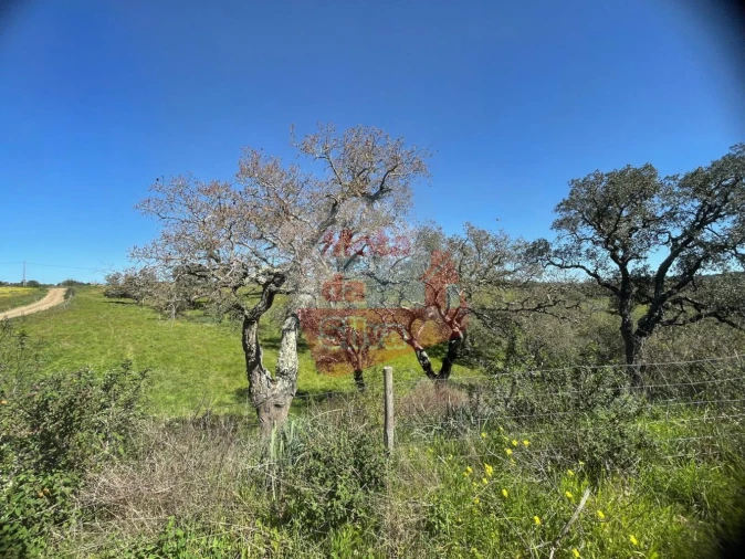 Terreno para Venda em São Francisco da Serra Foto 19