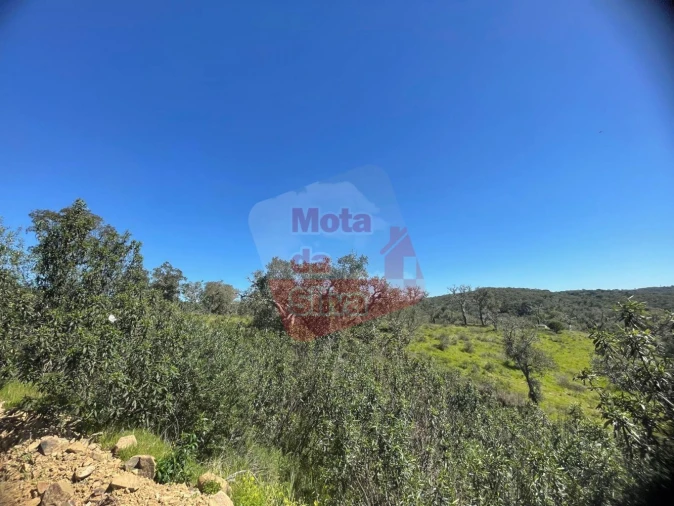 Terreno para Venda em São Francisco da Serra Foto 16