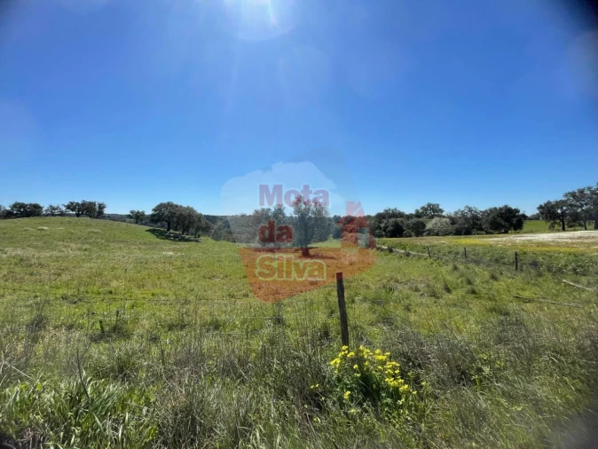 Terreno para Venda em São Francisco da Serra Foto 1