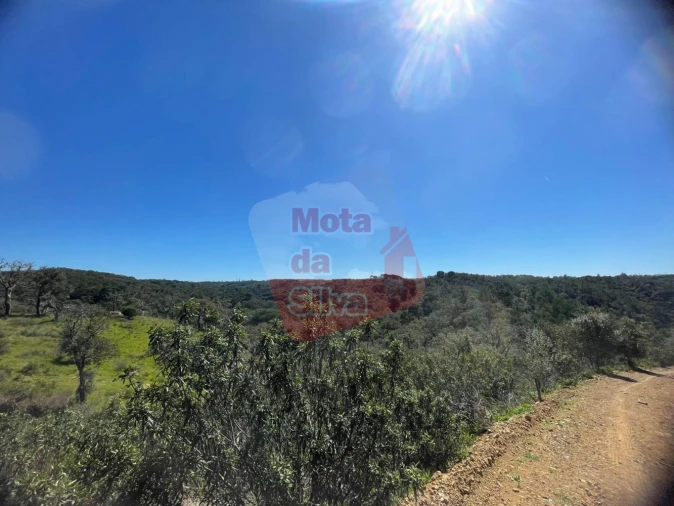 Terreno para Venda em São Francisco da Serra Foto 15