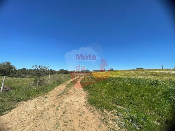 Terreno para Venda em São Francisco da Serra Foto 4