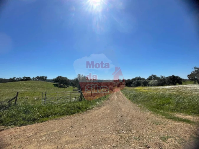 Terreno para Venda em São Francisco da Serra Foto 5