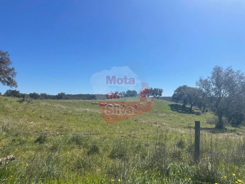 Terreno para Venda em São Francisco da Serra Foto 8