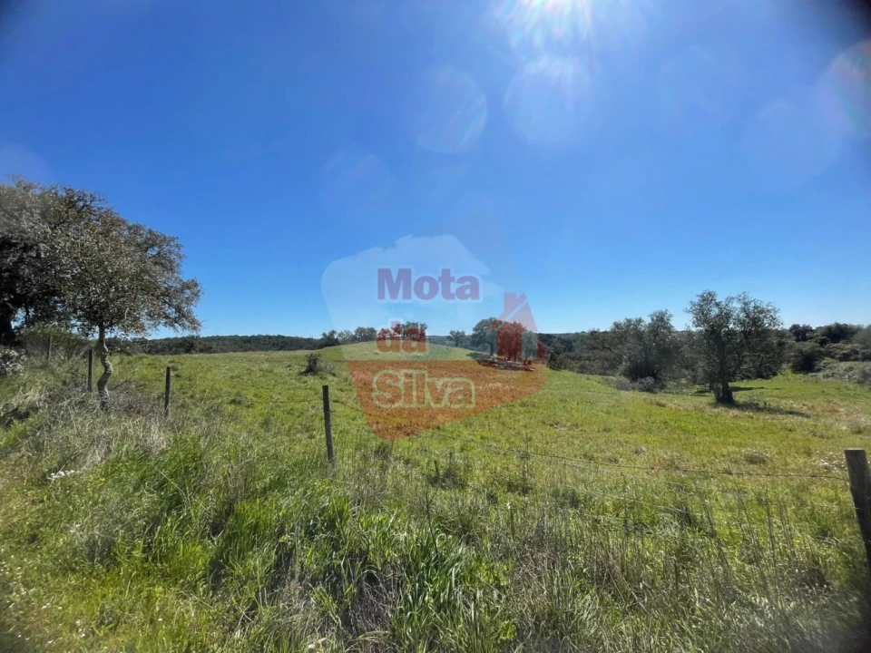 Terreno para Venda em São Francisco da Serra Foto 6