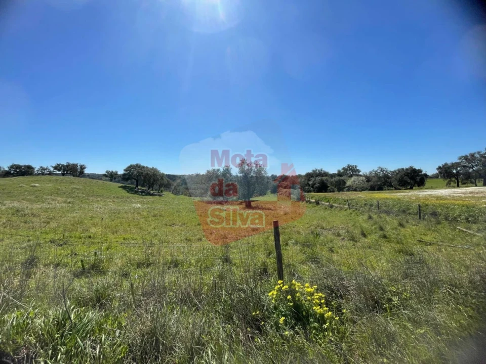 Terreno para Venda em São Francisco da Serra Foto 1