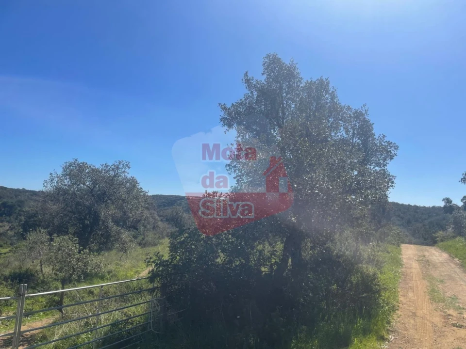 Terreno para Venda em São Francisco da Serra Foto 12