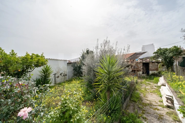 Moradia T1 para Venda em Monte do Trigo Foto 14