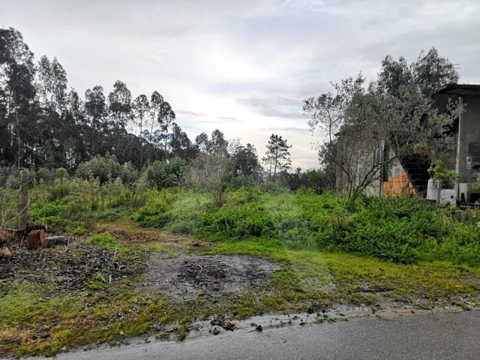 Terreno Agricola ou Rústico para Venda em Requeixo, Nossa Senhora de Fátima e Nariz Foto 7