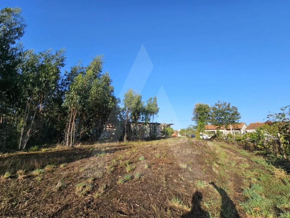Terreno Agricola ou Rústico para Venda em Requeixo, Nossa Senhora de Fátima e Nariz Foto 2