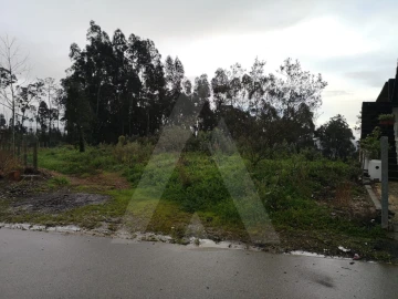 Terreno Agricola ou Rústico para Venda em Requeixo, Nossa Senhora de Fátima e Nariz