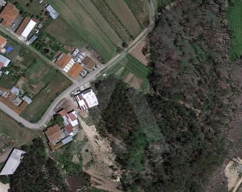 Terreno Agricola ou Rústico para Venda em Requeixo, Nossa Senhora de Fátima e Nariz