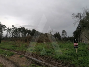 Terreno Agricola ou Rústico para Venda em Requeixo, Nossa Senhora de Fátima e Nariz