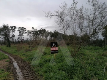 Terreno Agricola ou Rústico para Venda em Requeixo, Nossa Senhora de Fátima e Nariz