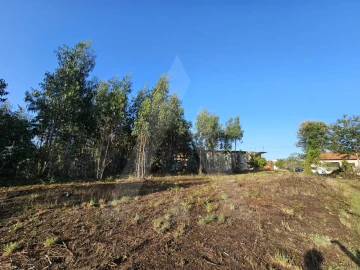 Terreno Agricola ou Rústico para Venda em Requeixo, Nossa Senhora de Fátima e Nariz