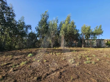 Terreno Agricola ou Rústico para Venda em Requeixo, Nossa Senhora de Fátima e Nariz