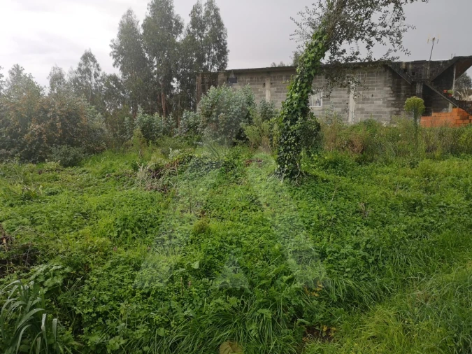 Terreno Agricola ou Rústico para Venda em Requeixo, Nossa Senhora de Fátima e Nariz Foto 5