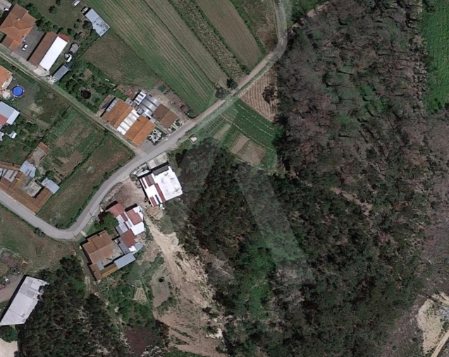 Terreno Agricola ou Rústico para Venda em Requeixo, Nossa Senhora de Fátima e Nariz Foto 13