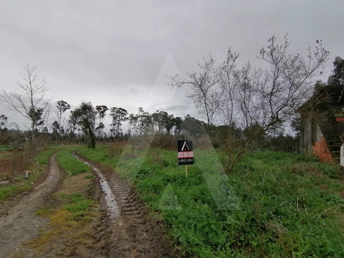 Terreno Agricola ou Rústico para Venda em Requeixo, Nossa Senhora de Fátima e Nariz Foto 11