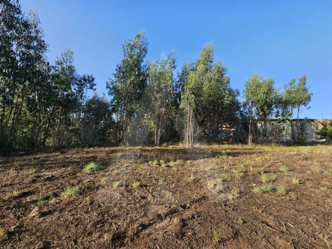 Terreno Agricola ou Rústico para Venda em Requeixo, Nossa Senhora de Fátima e Nariz Foto 4