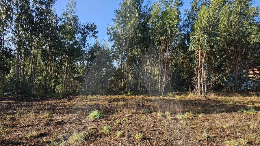 Terreno Agricola ou Rústico para Venda em Requeixo, Nossa Senhora de Fátima e Nariz