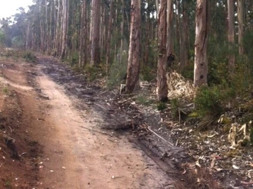 Terreno Agricola ou Rústico para Venda em Ílhavo (São Salvador)