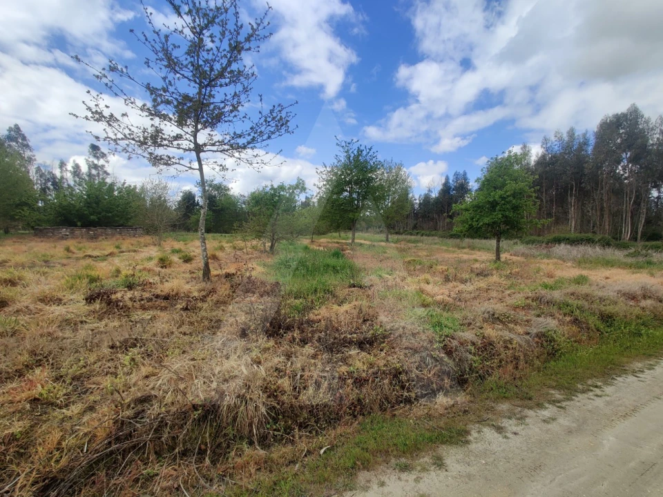 Terreno Agricola ou Rústico para Venda em Requeixo, Nossa Senhora de Fátima e Nariz Foto 1