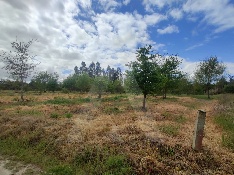 Terreno Agricola ou Rústico para Venda em Requeixo, Nossa Senhora de Fátima e Nariz Foto 2