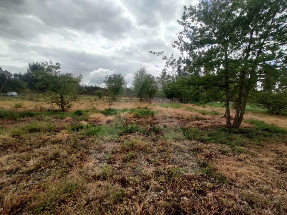 Terreno Agricola ou Rústico para Venda em Requeixo, Nossa Senhora de Fátima e Nariz Foto 7