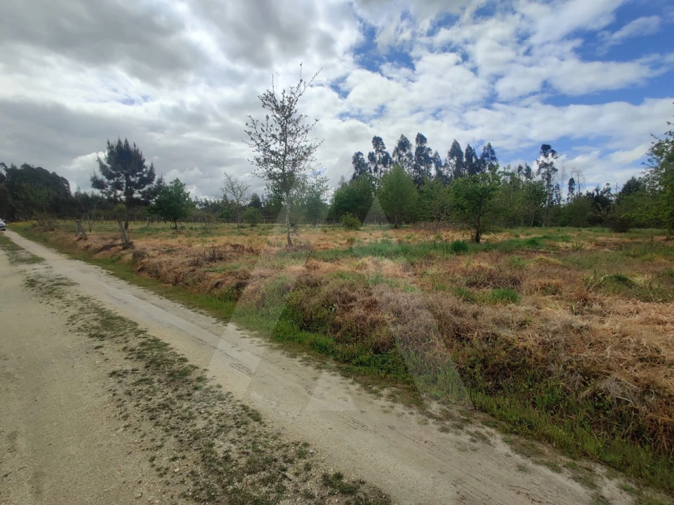 Terreno Agricola ou Rústico para Venda em Requeixo, Nossa Senhora de Fátima e Nariz Foto 8