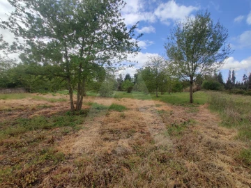 Terreno Agricola ou Rústico para Venda em Requeixo, Nossa Senhora de Fátima e Nariz