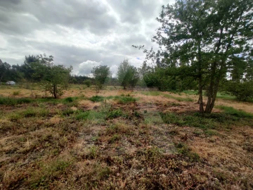 Terreno Agricola ou Rústico para Venda em Requeixo, Nossa Senhora de Fátima e Nariz