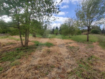 Terreno Agricola ou Rústico para Venda em Requeixo, Nossa Senhora de Fátima e Nariz