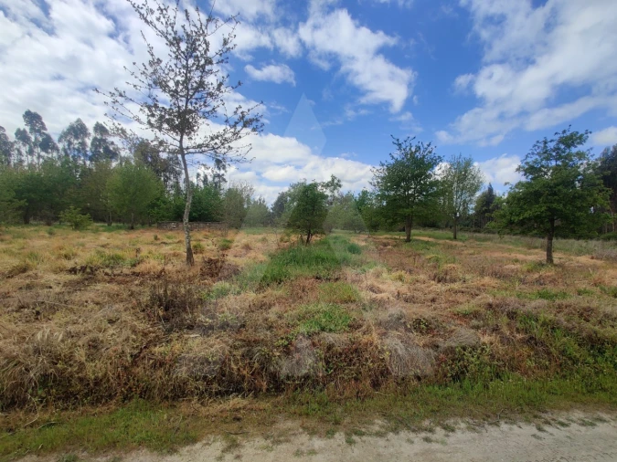 Terreno Agricola ou Rústico para Venda em Requeixo, Nossa Senhora de Fátima e Nariz Foto 6