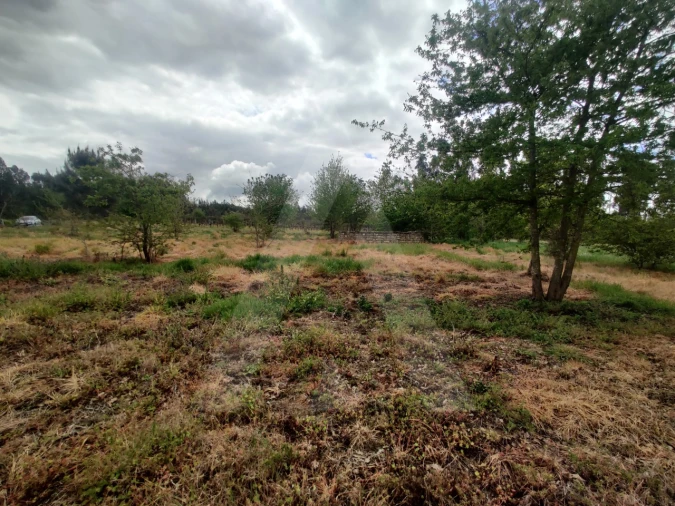Terreno Agricola ou Rústico para Venda em Requeixo, Nossa Senhora de Fátima e Nariz Foto 7