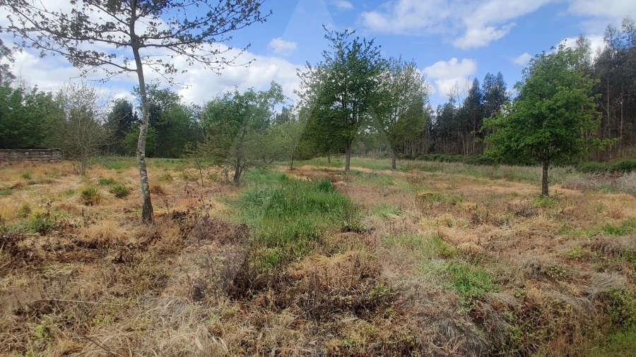 Terreno Agricola ou Rústico para Venda em Requeixo, Nossa Senhora de Fátima e Nariz