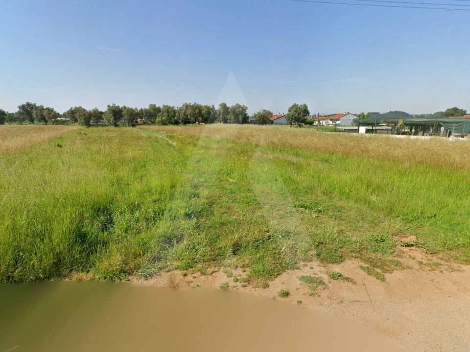 Terreno para Venda em Barrô e Aguada de Baixo Foto 9