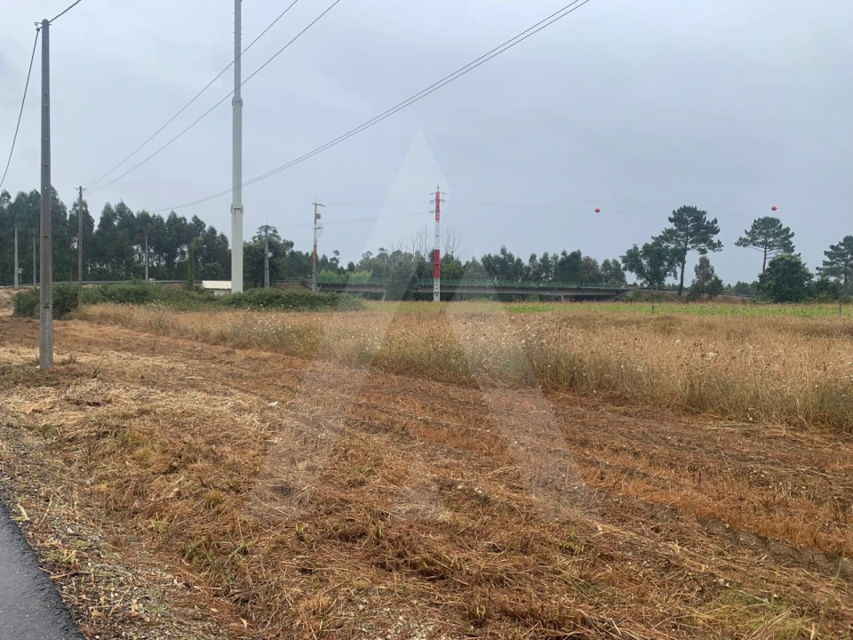 Terreno Agricola ou Rústico para Venda em Requeixo, Nossa Senhora de Fátima e Nariz Foto 3