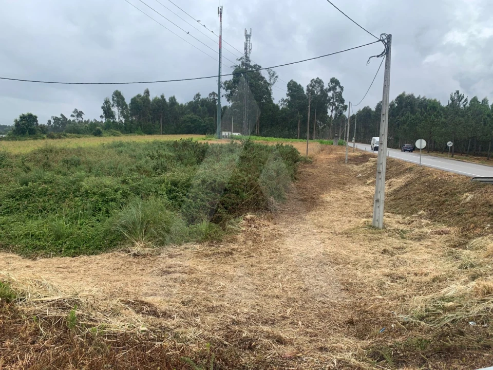 Terreno Agricola ou Rústico para Venda em Requeixo, Nossa Senhora de Fátima e Nariz Foto 6