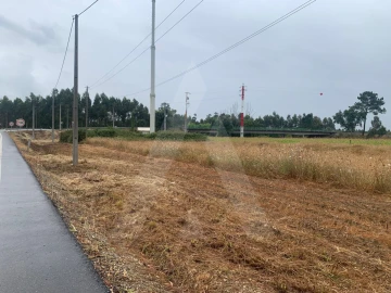 Terreno Agricola ou Rústico para Venda em Requeixo, Nossa Senhora de Fátima e Nariz