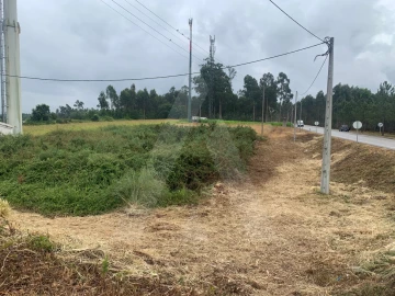 Terreno Agricola ou Rústico para Venda em Requeixo, Nossa Senhora de Fátima e Nariz