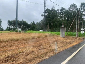 Terreno Agricola ou Rústico para Venda em Requeixo, Nossa Senhora de Fátima e Nariz