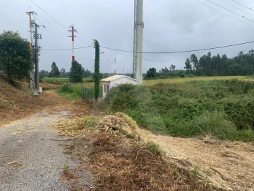 Terreno Agricola ou Rústico para Venda em Requeixo, Nossa Senhora de Fátima e Nariz