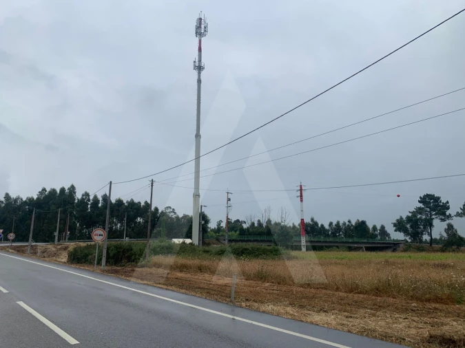 Terreno Agricola ou Rústico para Venda em Requeixo, Nossa Senhora de Fátima e Nariz Foto 2