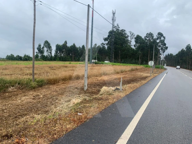 Terreno Agricola ou Rústico para Venda em Requeixo, Nossa Senhora de Fátima e Nariz Foto 4